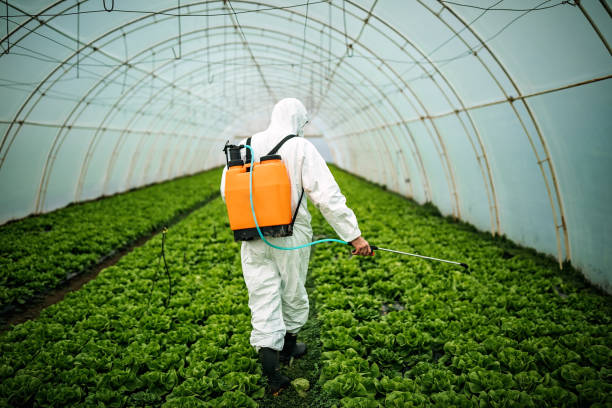 Best Affordable Pest Control Services  in Tower City, PA