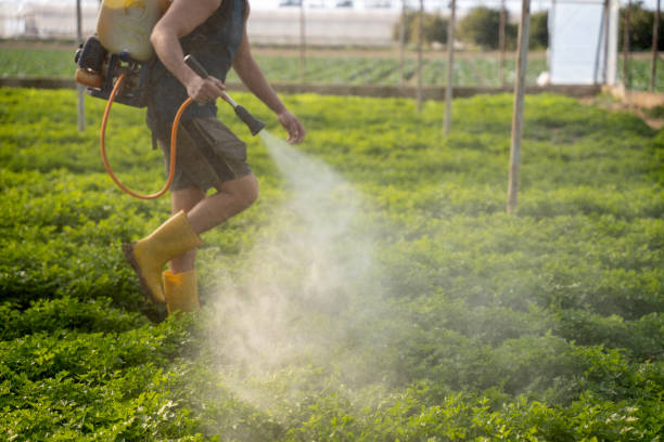 Best Best Pest Control Companies  in Tower City, PA