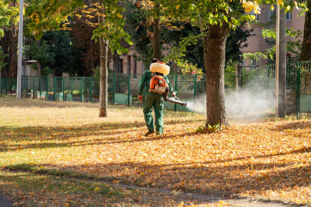Best Residential Pest Control  in Tower City, PA