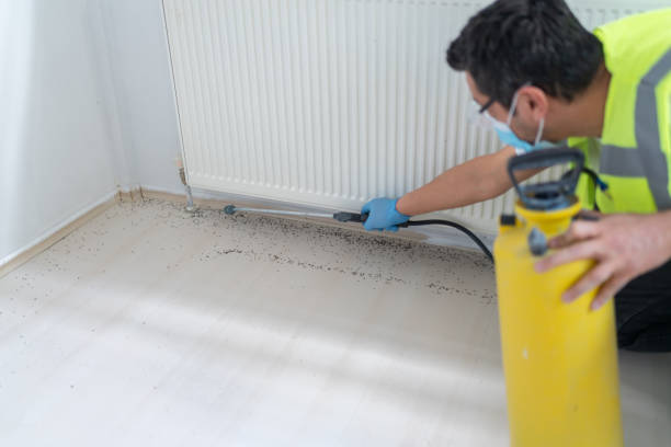 Best Flea Control Services  in Tower City, PA