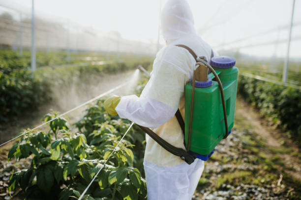 Pest Control for Restaurants in Tower City, PA